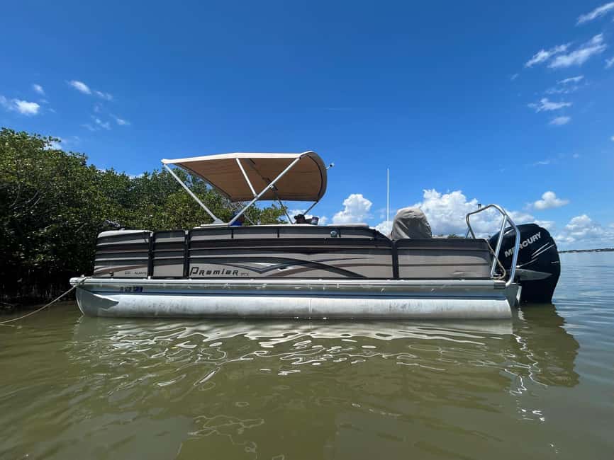 Cocoa Beach: Dolphin & Manatee Pontoon Cruise - Key Things You’ll Notice on This Banana River Cruise