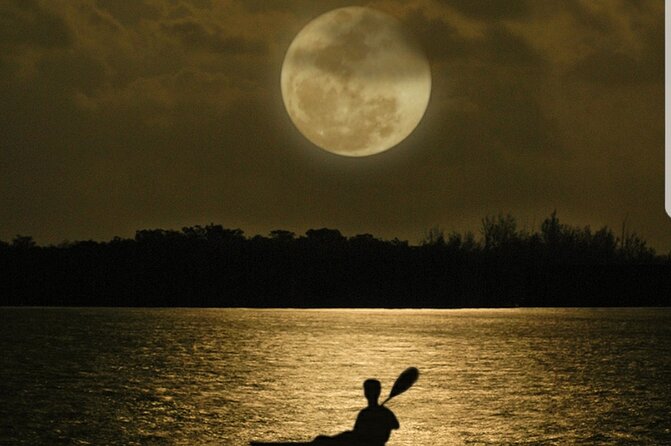 Cocoa Beach Night Time Bioluminescence Kayak Tour - What you learn: bioluminescence explained without killing the magic