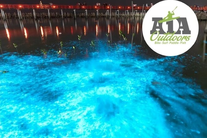 Cocoa Beach Night Time Bioluminescence Kayak Tour - After the kayak: optional swimming and saltwater reality