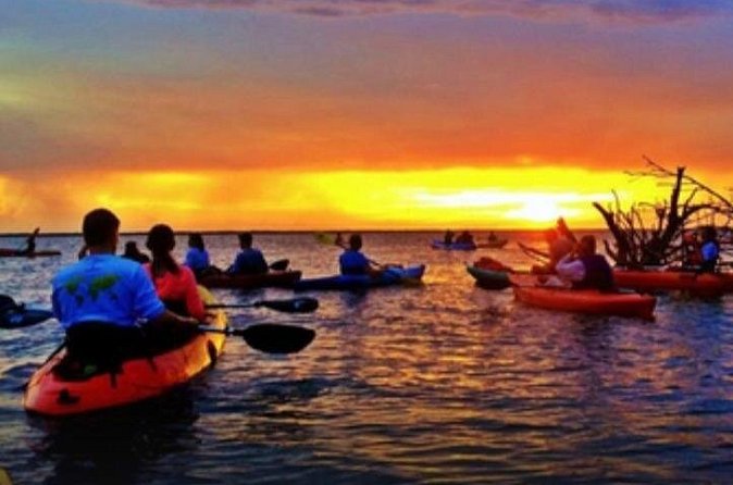 Cocoa Beach Night Time Bioluminescence Kayak Tour - Who should book this bioluminescence kayak tour