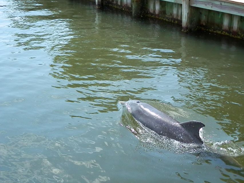 Cocoa Beach: Thousand Islands Banana River Boat Cruise - Key things to know before you go