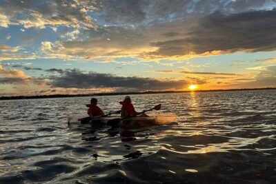 Comb Jelly Bioluminescence Clear Kayak Glow Tour - Clear Kayaks and Safety Lights: Why the Equipment Is a Big Deal