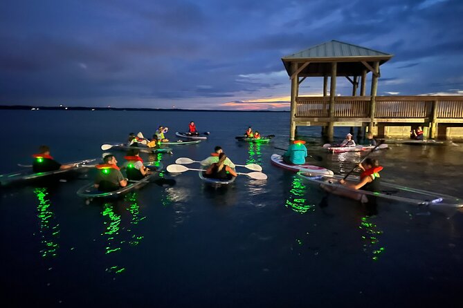 Comb Jelly Bioluminescence Clear Kayak Glow Tour - Price and Value at $75: What You’re Really Paying For