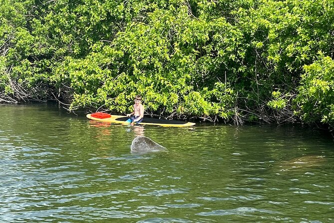 Dolphin and Manatee Adventure Tour of Merritt Island - Group Size and the Personal Touch