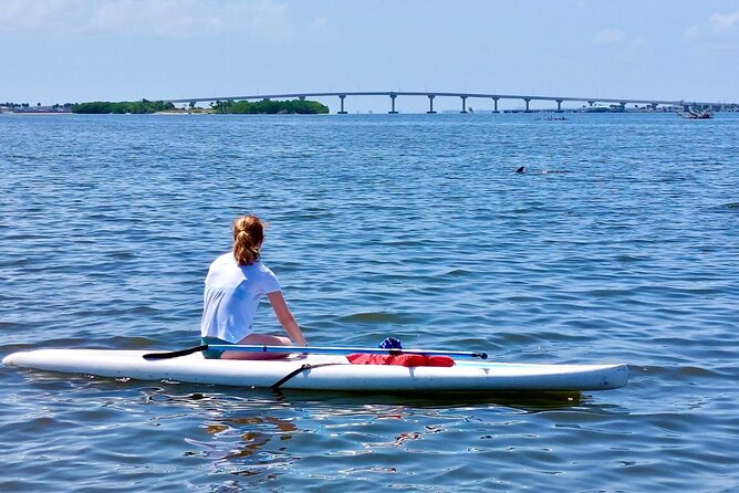 Dolphin and Manatee Clear Kayak or Paddleboard Tour - The swim break and island time: how to use it well