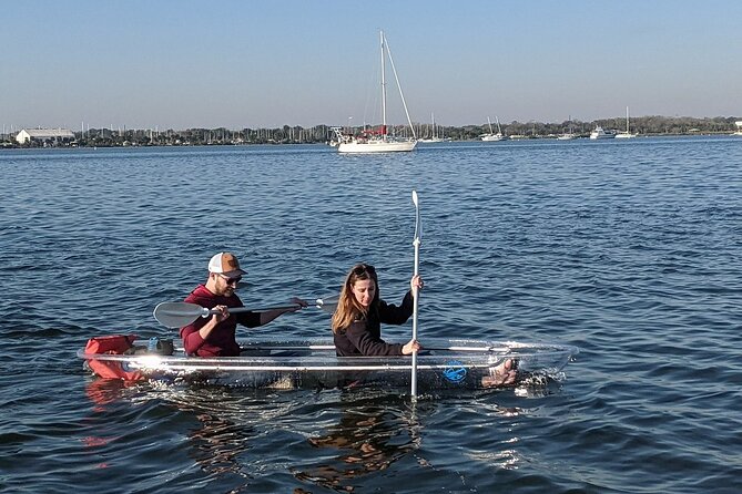 Dolphin and Manatee Clear Kayak or Paddleboard Tour - Wildlife viewing: dolphins, manatees, and more you may spot