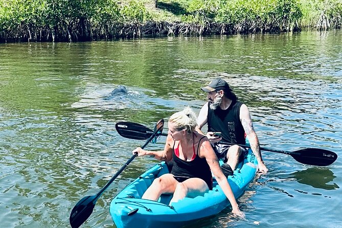 Dolphin and Manatee Kayak and SUP Adventure Tour of Cocoa Beach - Price and value: is $65 per person a good deal?