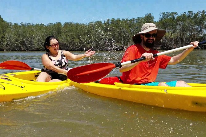 Dolphin & Manatee Kayaking Tour in Orlando Area - Price and value: why $65 can feel fair here
