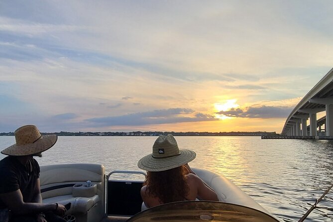 Dolphin/Manatee Pontoon Boat Tour with Local Expert - The wildlife sightings: what to expect (and what not to assume)