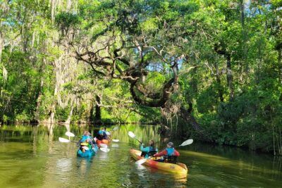 Dora Canal Wildlife Kayak Tour – Scenic Old Florida - Lake Dora start: easy orientation and quick momentum