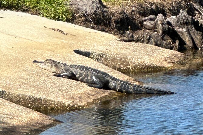 Epic 2-Hour Kissimmee E-Bike Adventure Awaits with Toho Bikes! - Why This Ride Feels Different Than a Typical Orlando Tour