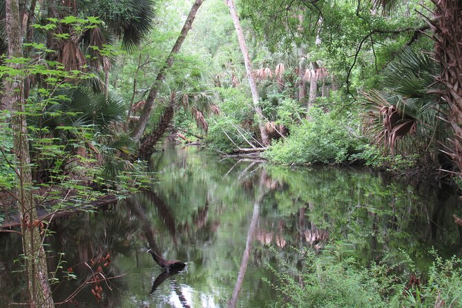 Exclusive Nature Escape Kayak Adventure on Blackwater Creek - Who should book this (and who should think twice)