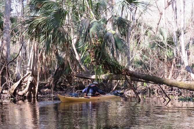 Exclusive Nature Escape Kayak Adventure on Blackwater Creek - What to bring beyond the basics (so the day stays easy)