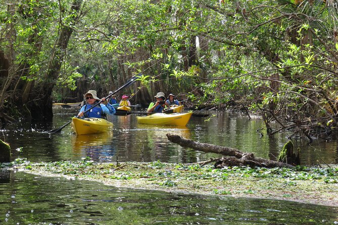 Exclusive Nature Escape Kayak Adventure on Blackwater Creek - Should you book this Blackwater Creek kayak adventure?