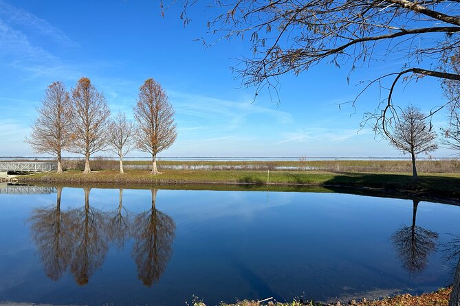 Experience Kissimmee Lakefront Mountain Bike Tour (2 Hours) - What’s Included That Actually Improves Your Day