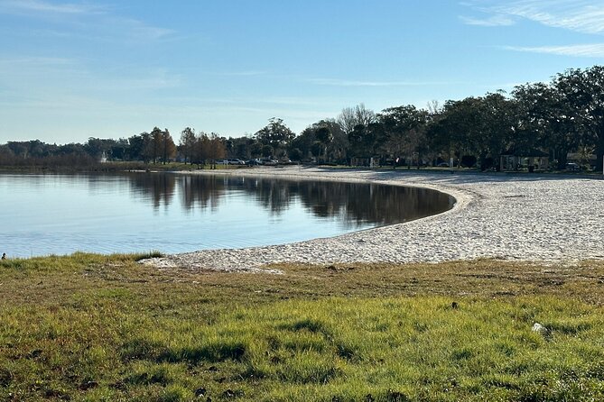 Experience Kissimmee Lakefront Mountain Bike Tour (2 Hours) - Wildlife and Safety: How to Watch Without Turning It Into Stress