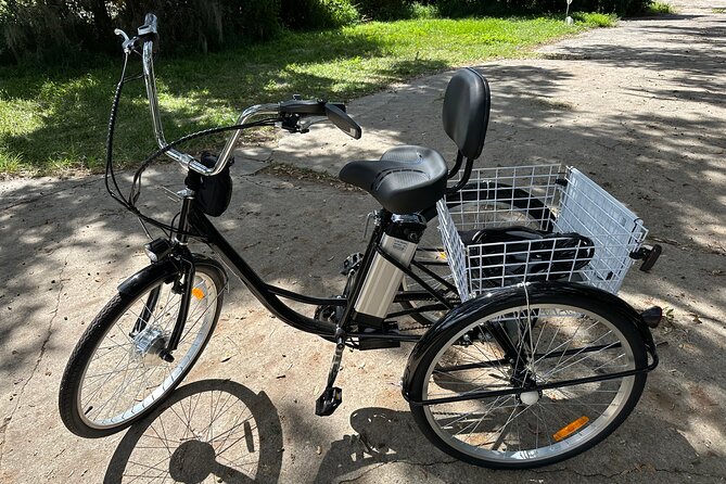 Experience Wild Florida Nature Up Close on Electric Trike (2 hrs) - Key things I’d zero in on