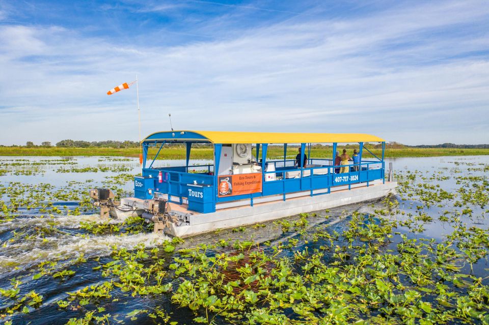 Florida: 90 Minute Everglades Cruise - Who this cruise is best for (and when to choose something else)