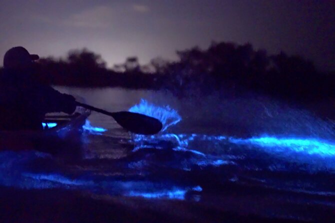Florida Bioluminescence Clear Kayak tour/ Beacon 42 (Titusville) - Where Beacon 42 turns a paddle into night sky theater