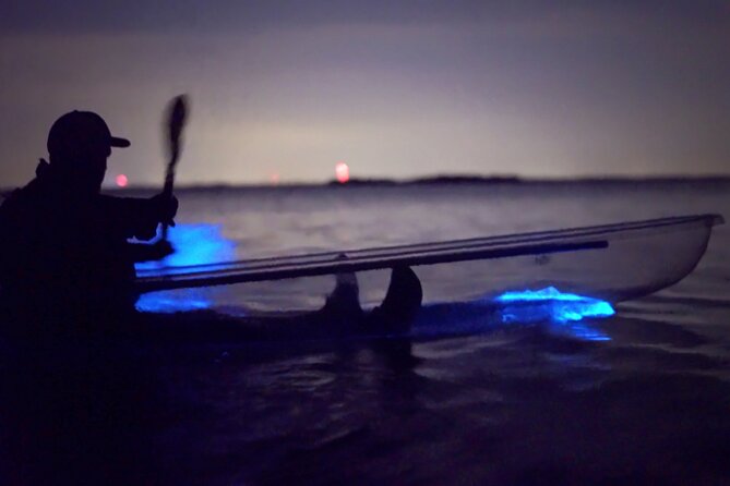 Florida Bioluminescence Clear Kayak tour/ Beacon 42 (Titusville) - What bioluminescence you can expect: comb jellies vs neon plankton