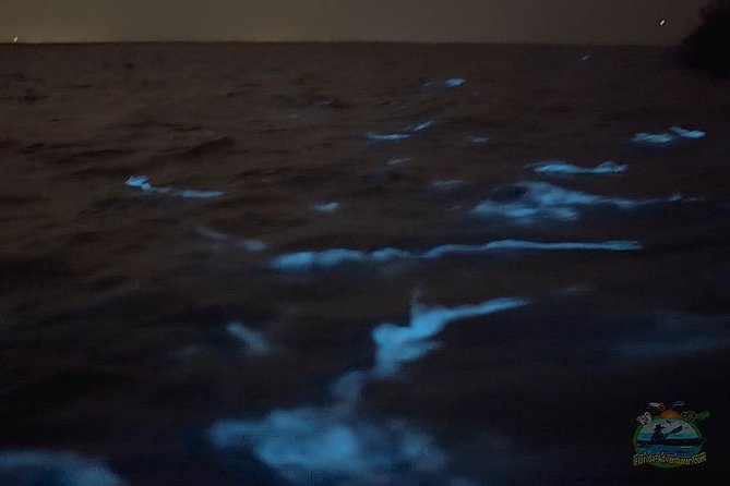 Florida Bioluminescence Clear Kayak tour/ Beacon 42 (Titusville) - Clear kayaks: why you’ll love the view, and what to watch for