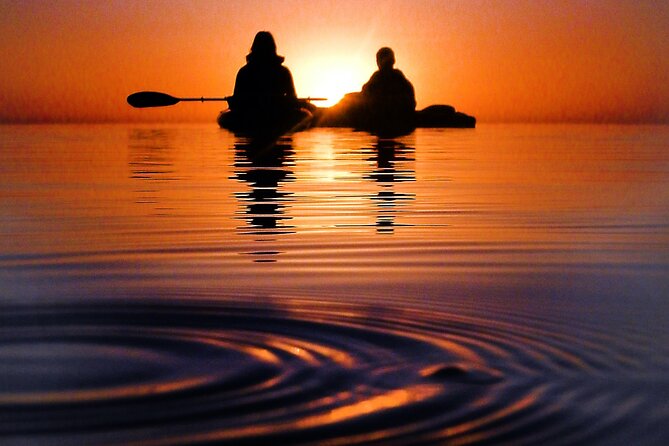 Florida Bioluminescence Clear Kayak tour/ Beacon 42 (Titusville) - Wildlife, stars, and the extra surprises on a Space Coast night
