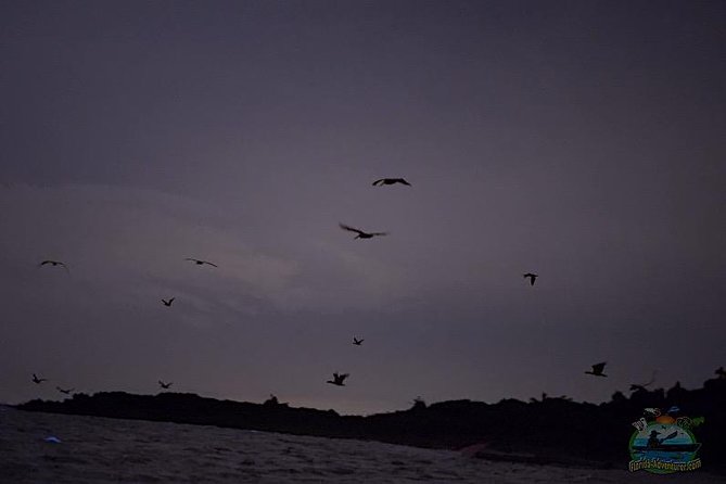 Florida Bioluminescence Clear Kayak tour/ Beacon 42 (Titusville) - The 90-minute flow: from Beacon 42 ramp to glowing water