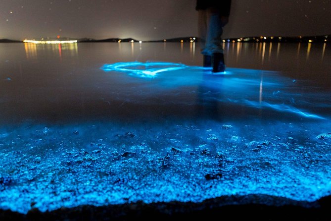Florida Bioluminescence Kayaking Tour (Titusville) - Key things to know before you go