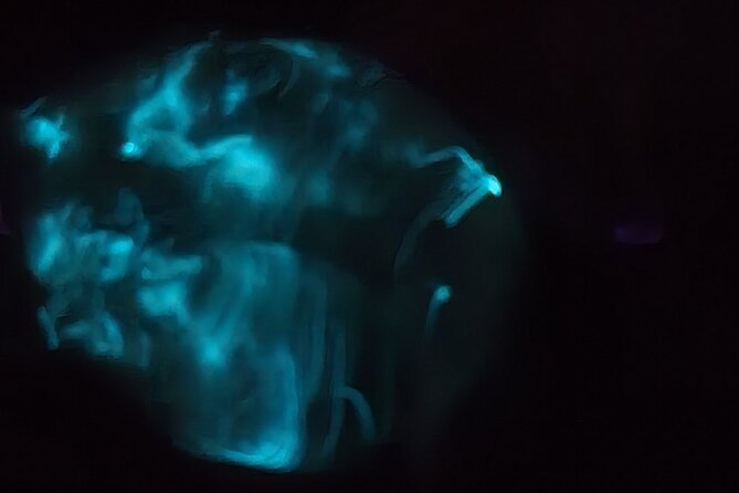 Florida Bioluminescence Kayaking Tour (Titusville) - When bioluminescence peaks (and why nights vary)
