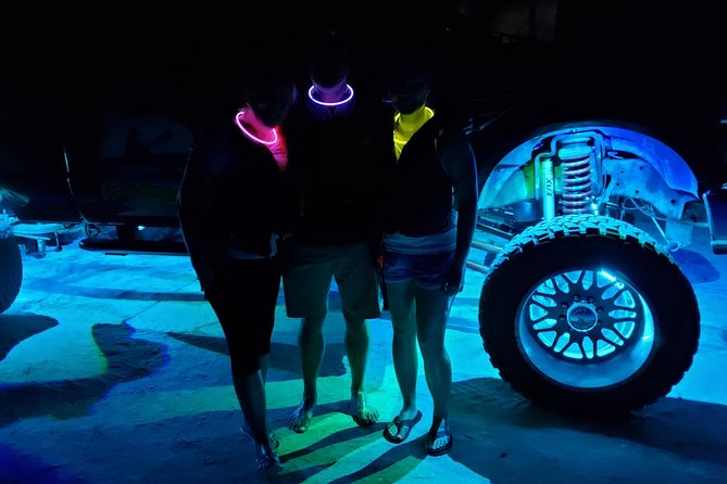 Florida Bioluminescence Kayaking Tour (Titusville) - Wildlife extras: gators, manatees, comb jellies, and the fun surprises