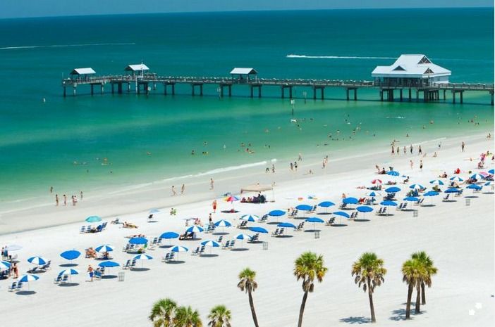 From Orlando: Clearwater Beach and Marine Aquarium Admission - Key highlights to look forward to