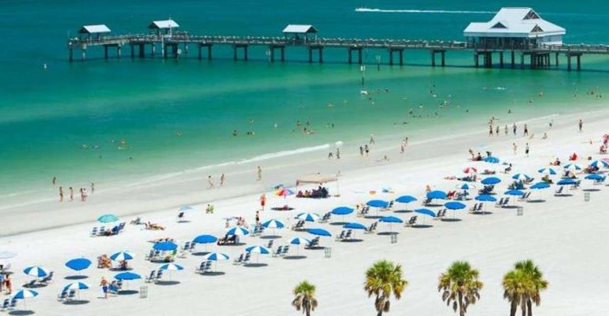 From Orlando: Clearwater Beach and Marine Aquarium Admission - Who should book this tour (and who might want a different day)