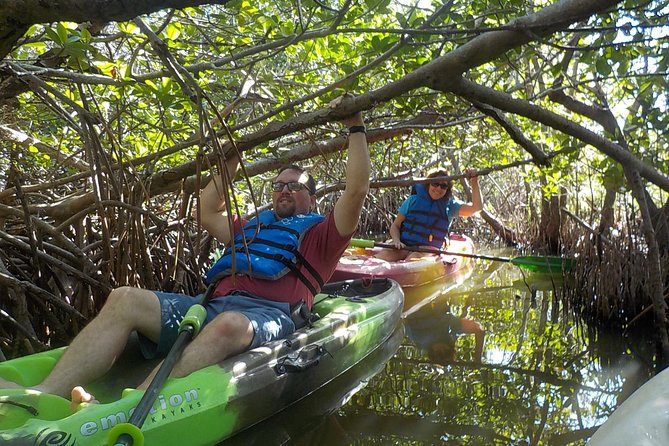 Fully Guided Kayaking Backwater Manatee and Dolphin Tour - Price and Value: Is $75 Worth It for Wildlife Time on the Water?