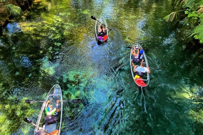 Glass Bottom Kayak Tours of Silver Springs - Key things I’d mark on your checklist