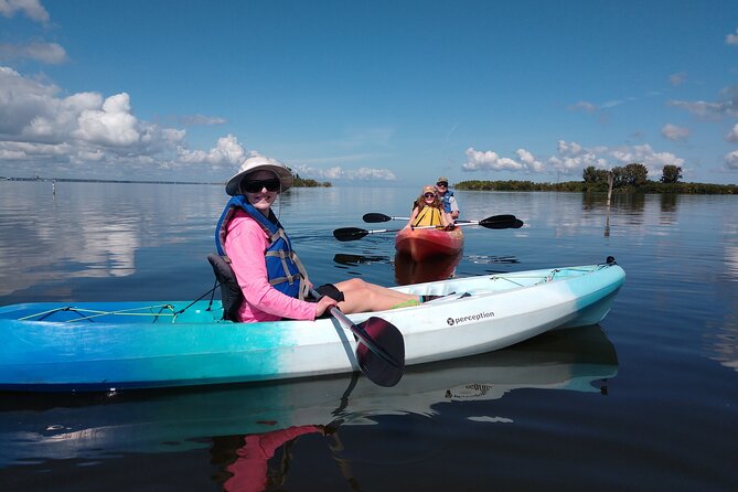 Guided Kayak Tour with Manatee & Dolphin Sightings - The paddle itself: scenic estuaries, easy effort, and dolphin-spotting strategy