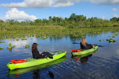 Guided Kayaking Manatee Tour near Orlando - The 1.5-Hour Paddle: What Your Time on the Water Looks Like