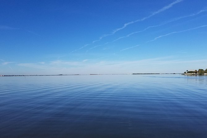 Guided Two Hour Boat Tour of the Indian River Lagoon - Two hours in the Indian River Lagoon: fast wildlife education
