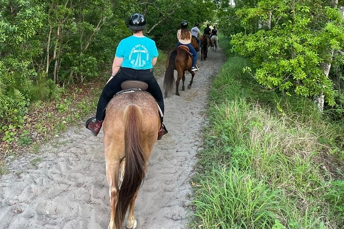 Horseback Ride on Scenic Lake Louisa Trails - The Best Part: Learning Lake Louisa Beyond the Usual Look