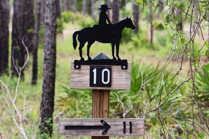 Horseback Ride on Scenic Lake Louisa Trails - Weather and Timing: The Practical Stuff That Makes or Breaks the Day