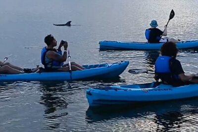 Kayak Tours and Rentals. Dolphins, Manatees, and Bioluminescence! - What the 2-hour kayaking rhythm feels like