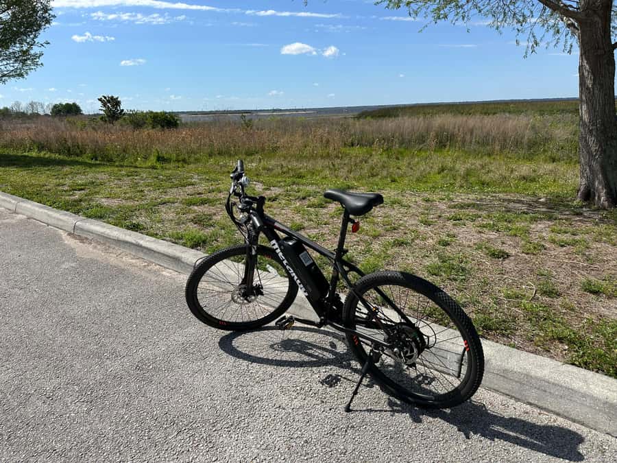 Kissimmee: 4-Hour All Electric Mountain Bike Lakefront Tour - Wildlife near the water: amazing to see, best handled with respect