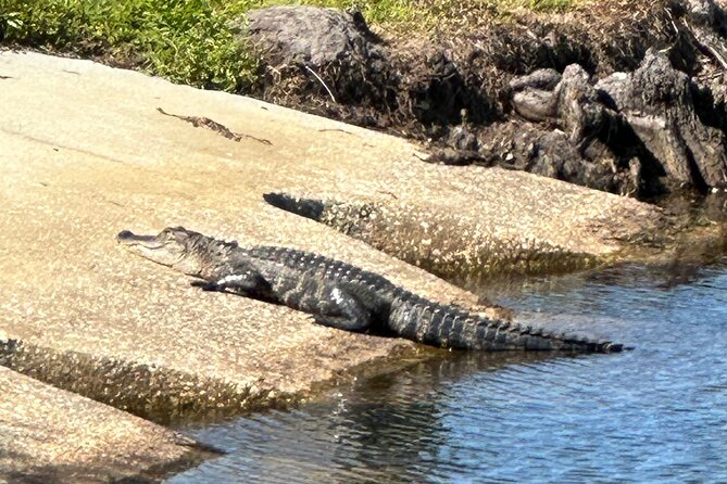 Kissimmee and St. Cloud Beach Tour on All Electric Trike (4 hrs.) - Key highlights you’ll care about