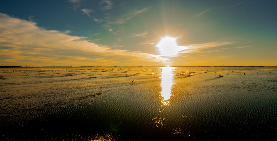 Kissimmee: Boggy Creek Sunset Airboat Tour - How the captain and the airboat work together (and why it matters)