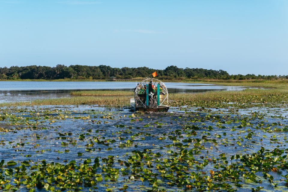 Kissimmee: Everglades Airboat Adventure Tour - Key highlights