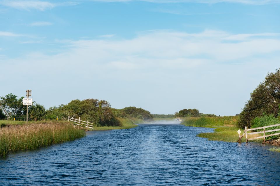 Kissimmee: Everglades Airboat Adventure Tour - Price and value: $69 per person for a real wetland experience