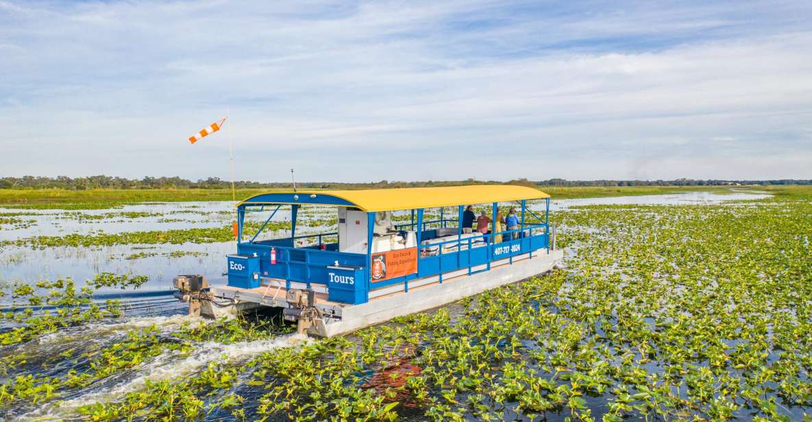 Kissimmee: Florida Everglades Pontoon Boat Tour - Why This 1-Hour Everglades-Style Cruise Works