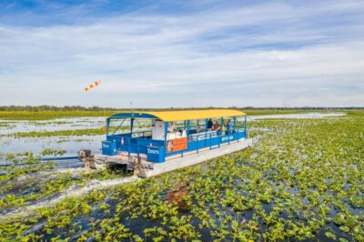 Kissimmee: Florida Everglades Pontoon Boat Tour - Getting Oriented at Big Toho Marina (and the 69 Lakeview Dr Start)