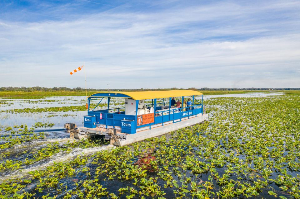 Kissimmee: Florida Everglades Pontoon Boat Tour - Getting Oriented at Big Toho Marina (and the 69 Lakeview Dr Start)