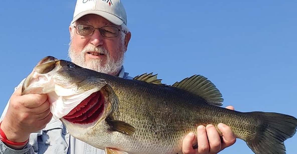 Kissimmee: Private Lake Tohopekaliga Fishing Charter - Lake Tohopekaliga near Kissimmee: what the water and wildlife bring