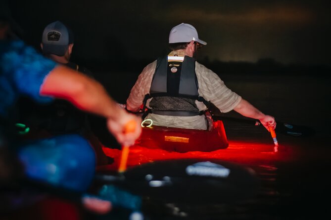 LED Bio Comb Jelly Clear Bottom Kayak or Paddleboard Tour! - Price and Value: Is $80 Worth It?